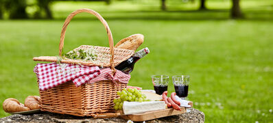 Elegant,Picnic,With,Red,Wine,,Fresh,Grapes,,Cheese,,Baguette,And