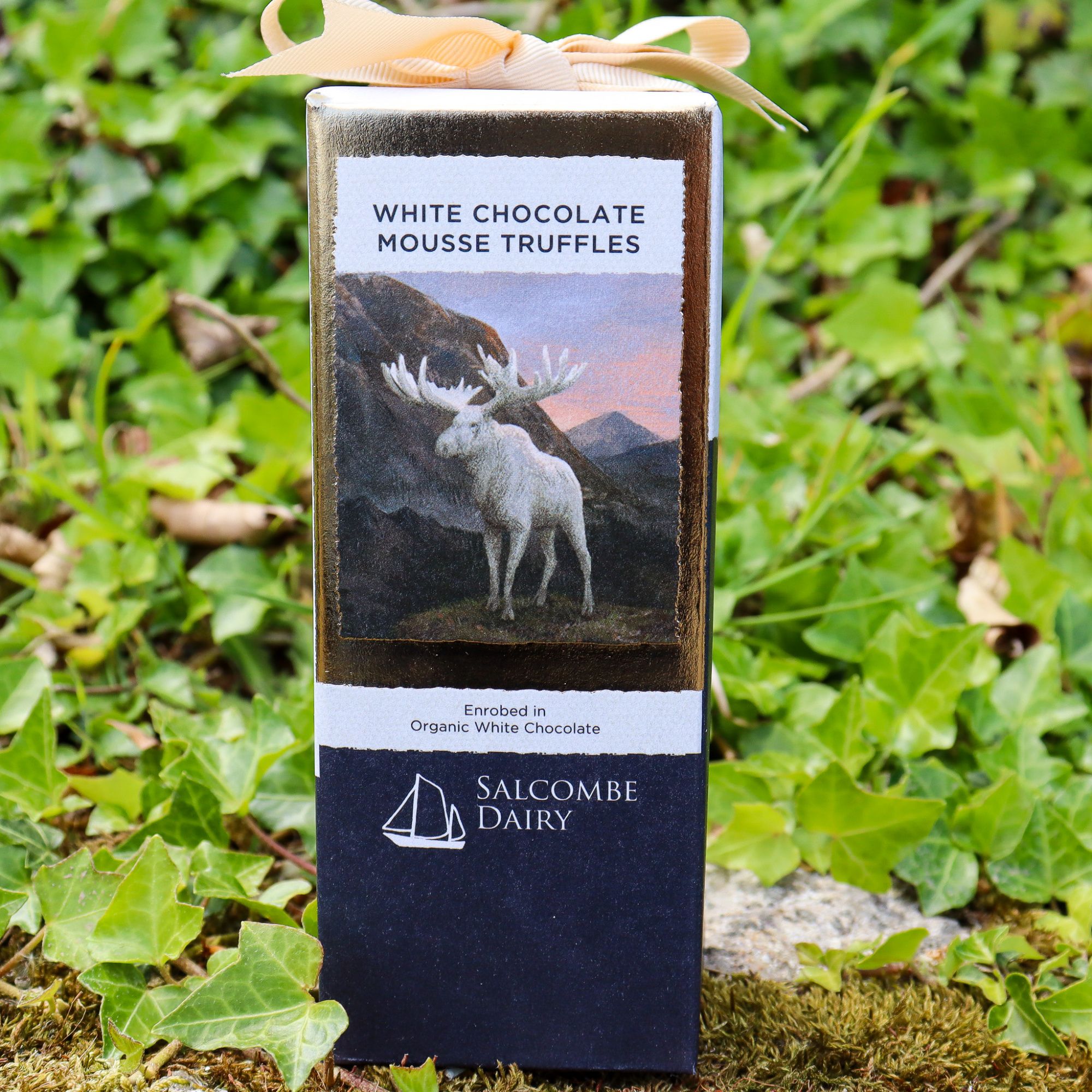 Salcombe Dairy White Chocolate Mousse Truffles Box (100g)