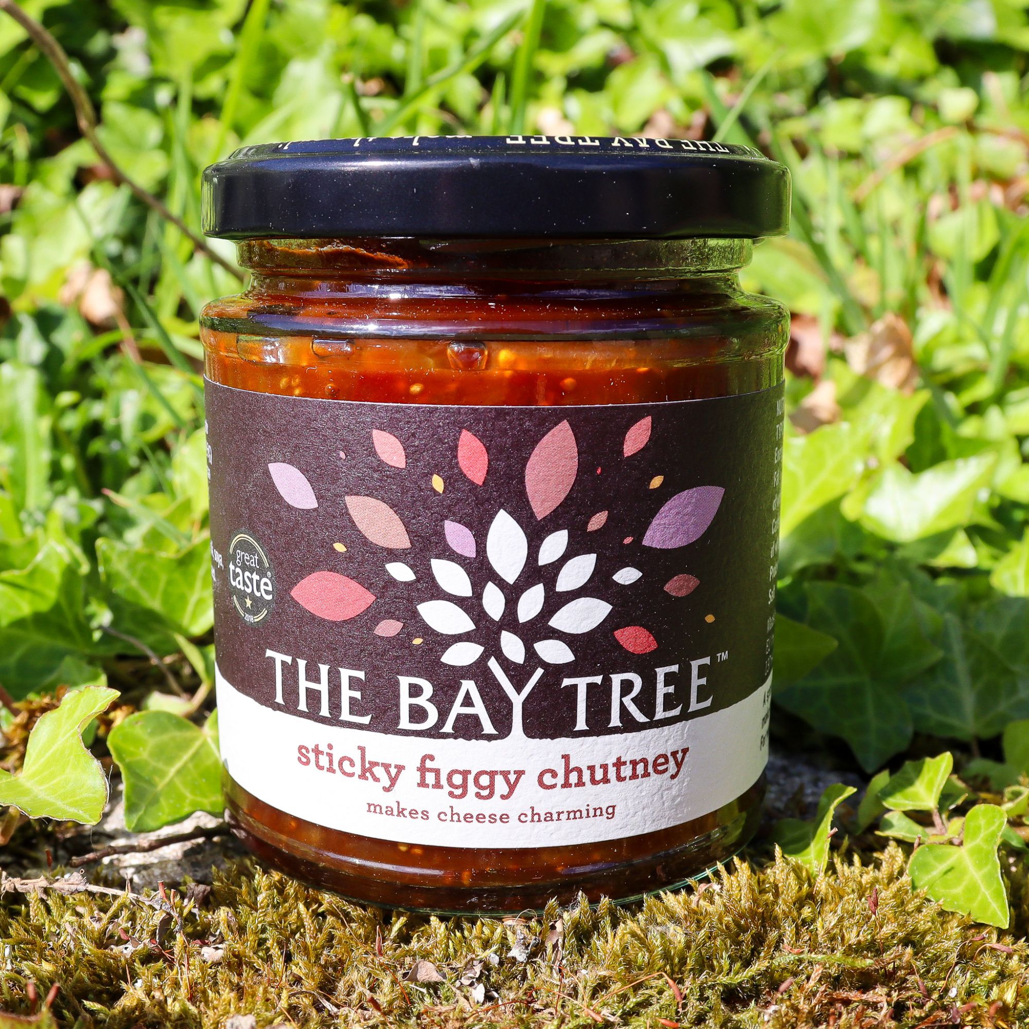 Bay Tree - Sticky Figgy Chutney 210g