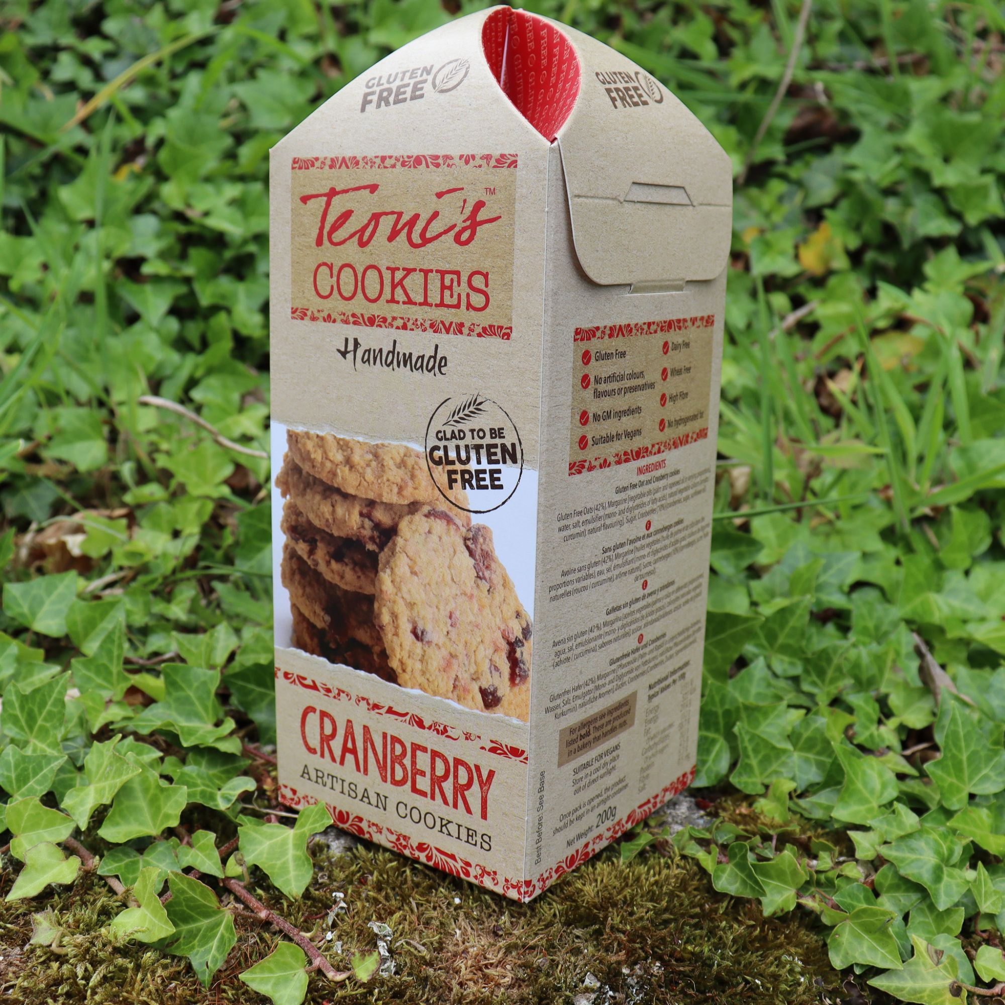 TEONI'S Gluten Free Cranberry Oat Crumble Cookies 200g