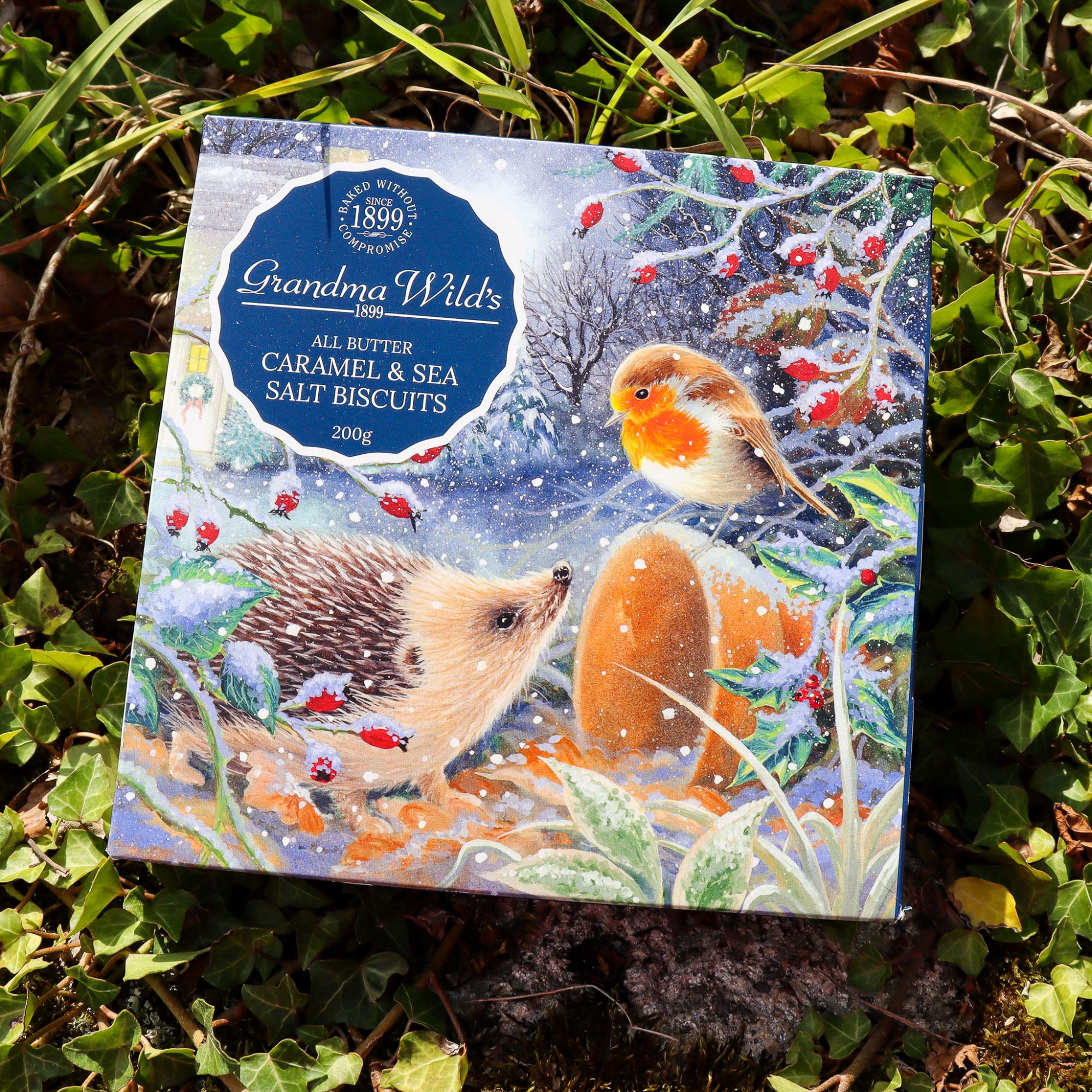 Grandma Wild's Caramel & Seasalt Biscuits (Christmas Hedgehog Box) 200g
