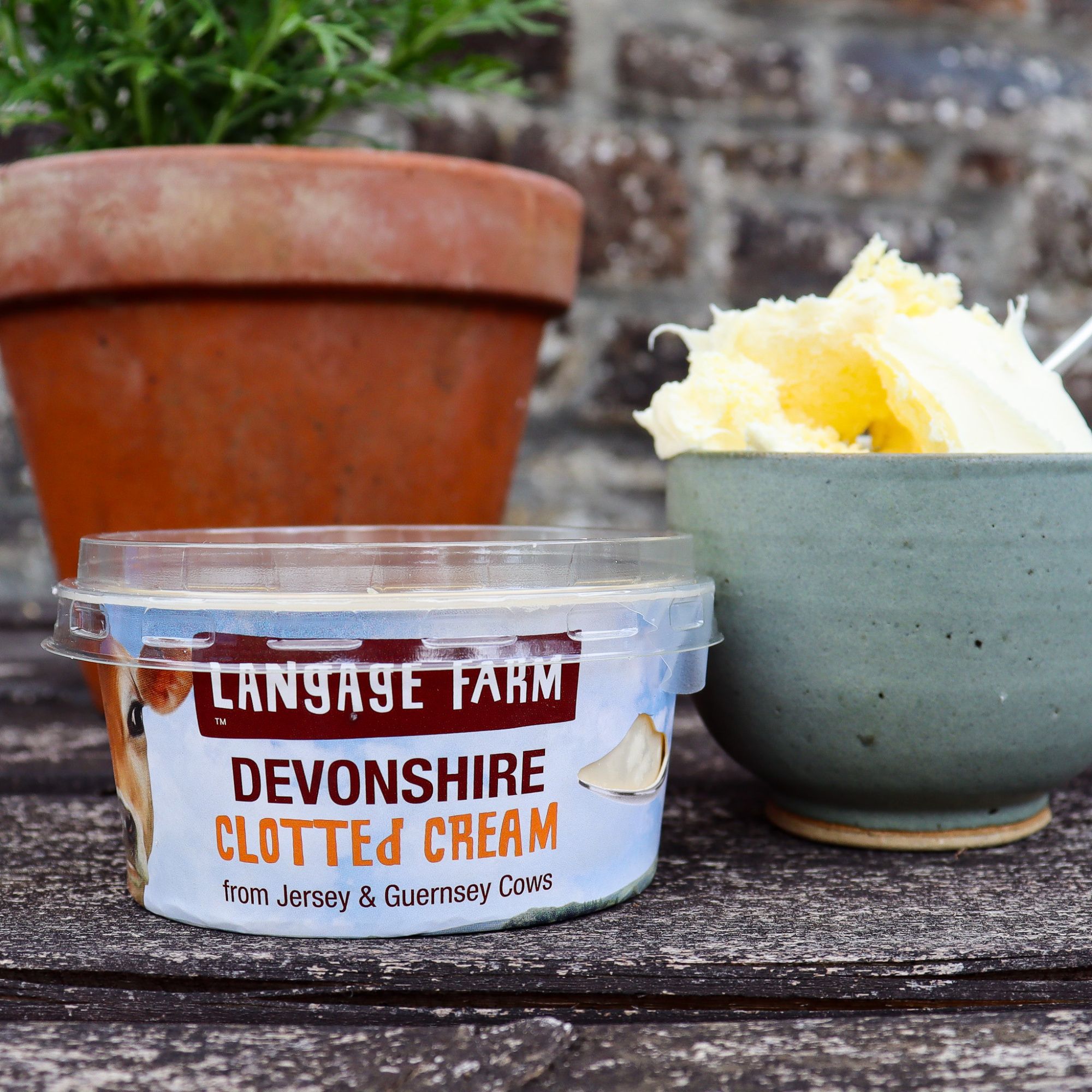 Langage Farm Devon Clotted Cream 113g