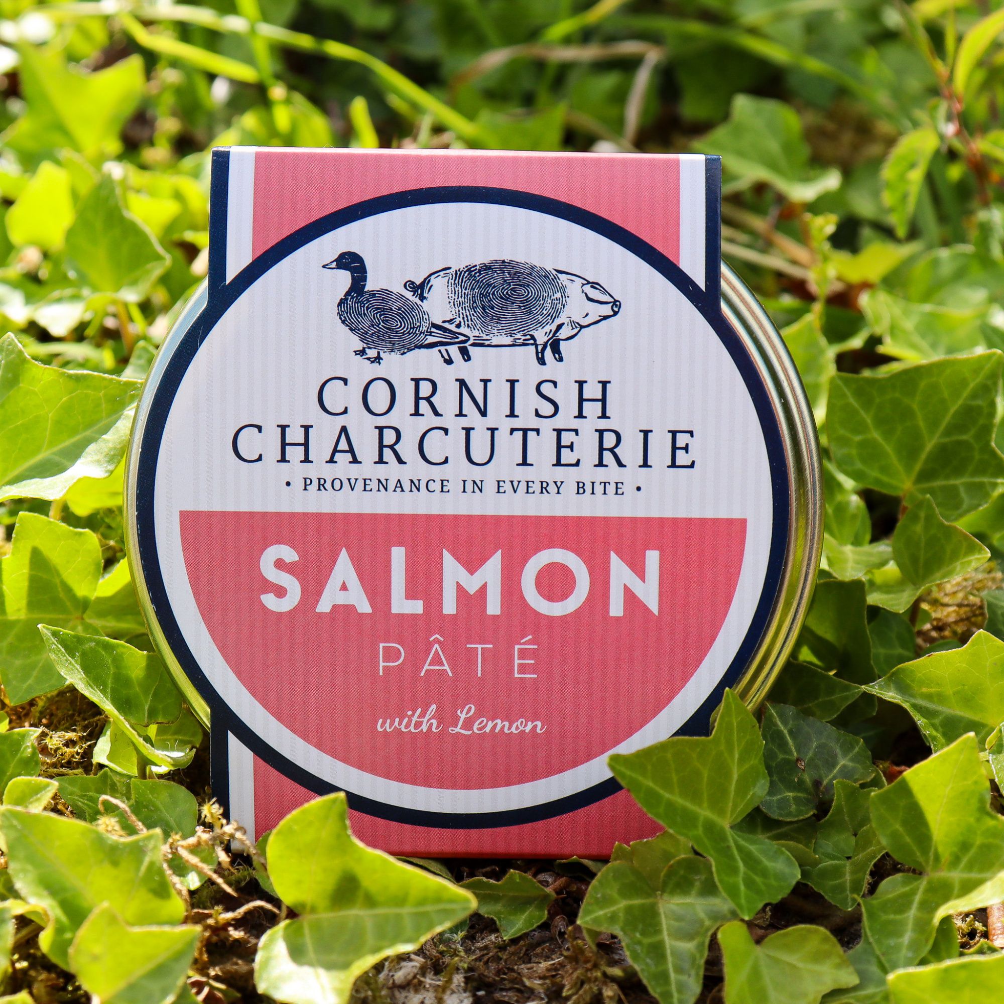 Cornish Charcuterie Salmon Pâté with Lemon 125g