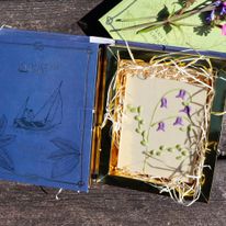 Salcombe Dairy Chunky White Chocolate Bluebell Bar  180g