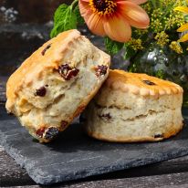 Large Fresh Baked Fruit Scones x2