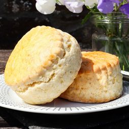 Large Fresh Baked Scones 2 Pack