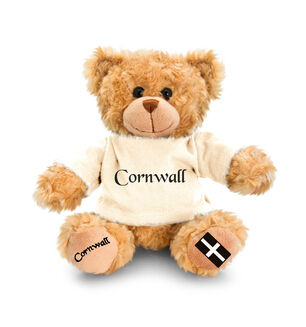 Cornwall Hug Me Teddy Bear - Cream T Shirt