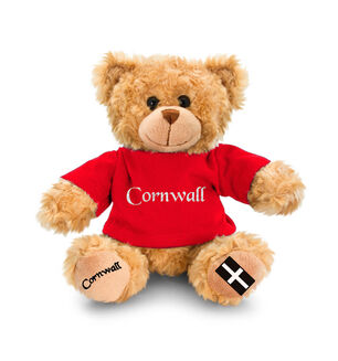 Cornwall Hug Me Teddy Bear - Red T Shirt
