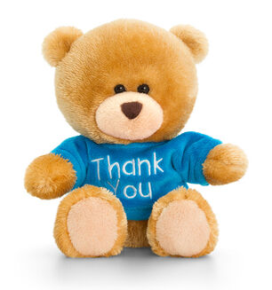 Pipp The Bear Thank You Teddy - Blue T Shirt