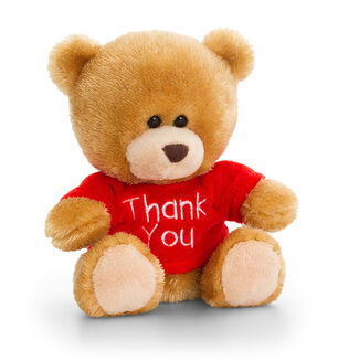Pipp The Bear Thank You Teddy - Red T Shirt