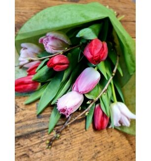 Fresh Flowers - Tulip Posy