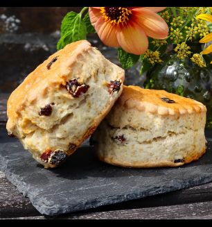 Large Fresh Baked Fruit Scones x2
