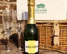Joseph Perrier Champagne (Half) 37.5cl additional 1