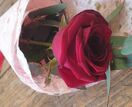A single red rose & eucalyptus additional 1