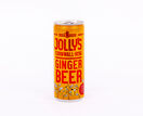 Cornish Ginger Beer 250ml additional 1