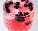 Fruits For Drinks - Blueberry additional 3