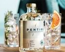 Pentire Adrift - Non Alcoholic Spirit 20cl additional 1