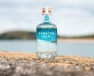 Padstow Gin 20cl additional 2