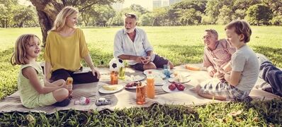 Family,Picnic,Outdoors,Togetherness,Relaxation,Concept