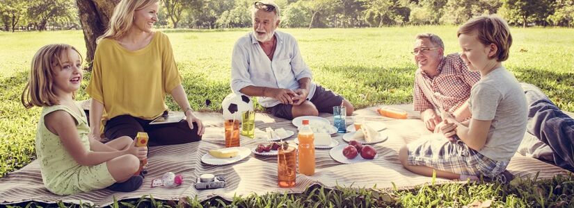 Family,Picnic,Outdoors,Togetherness,Relaxation,Concept