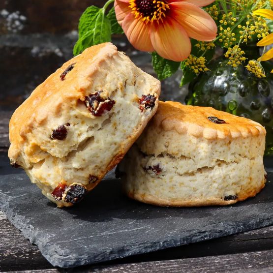 Large Fresh Baked Fruit Scones x2